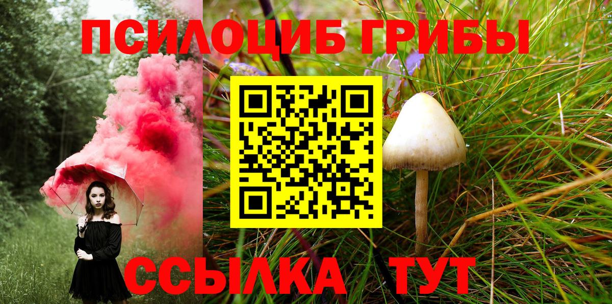 Псилоцибиновые грибы Psilocybine cubensis Унеча
